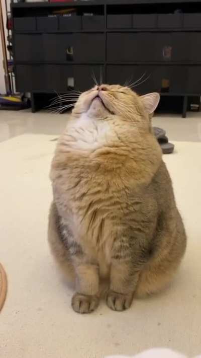 that's some high level meditation skills right there