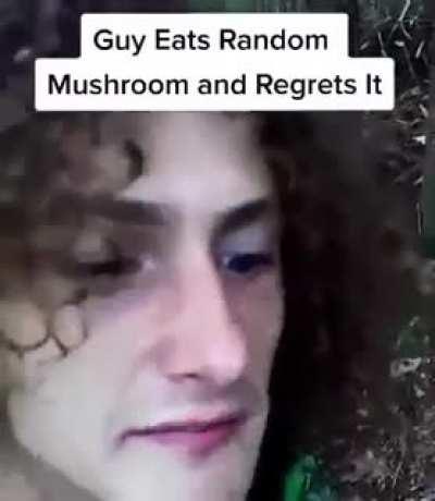 Guy plucks and tastes random wild mushroom