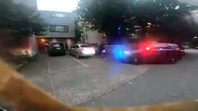 Seattle PD dragging mother out of her car while her 9 year old is in the backseat. Officer tells her she has “multiple counts of assaulting an officer. You assaulted me and you assaulted another officer” at a protest couple days ago. Cops are seeking reve