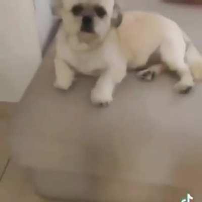 me voy a jugar al tenis 😎😎