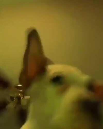 Enjoying Shipment 10v10 in an inexplicable way