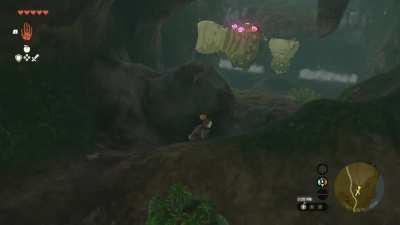 [TotK] I made this happen and yet I still have no clue what I was looking at