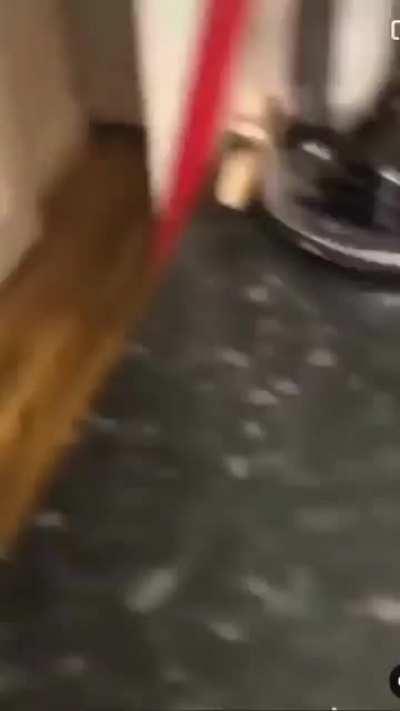 ohh I love the internet for this reason.