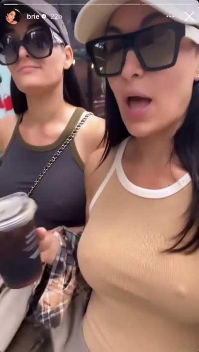 The Bella Twins