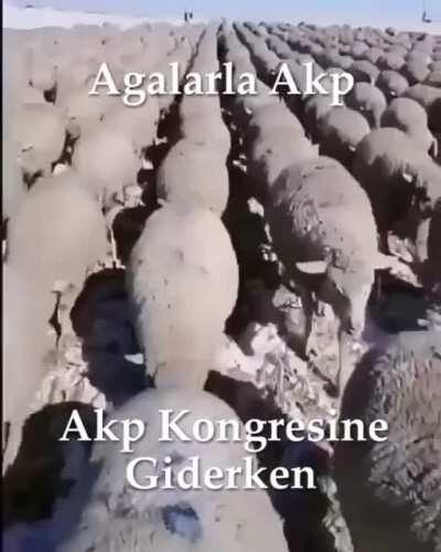 Agalarla akp kongresine giderken