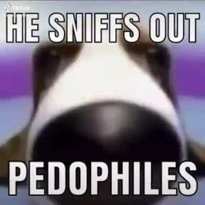 Just one last pedo joke