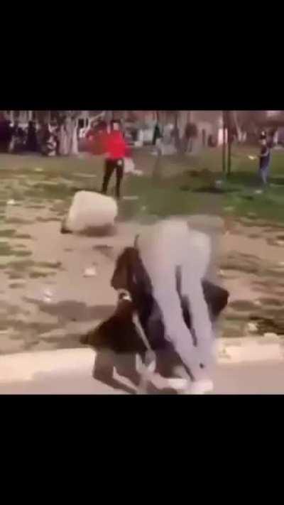 embestida carajo 😋🤪