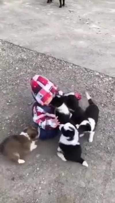chilD MAuleD BY vicIoUs DogS bEFoRE TheiR SaDIstIC MOtHER's eYeS