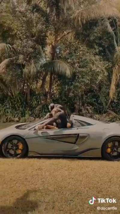 ThUgGiN mOnKeS🤌💵