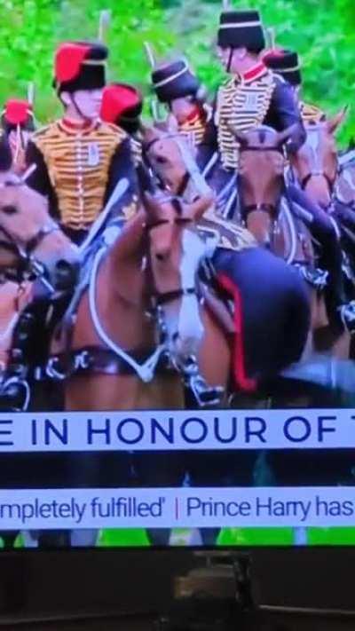 Go on girl gecat your leg over