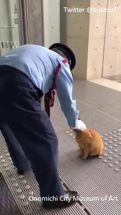 Two cats won't give up on trying to enter a Japanese Art Museum, the war has been going on for 2 years now.