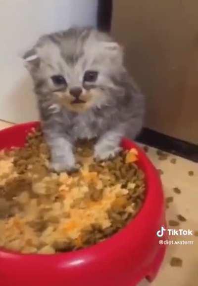 When you’ve slept for 16hrs, but needed a few more