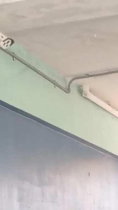 Some school toilets be wildin' bro