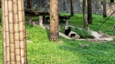 I'm just going to lie in bed and eat this...