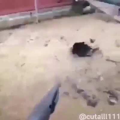 Se ve bueno el bioshock