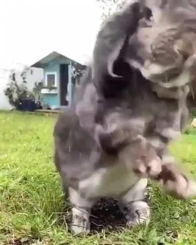 Кажется дождь собирается