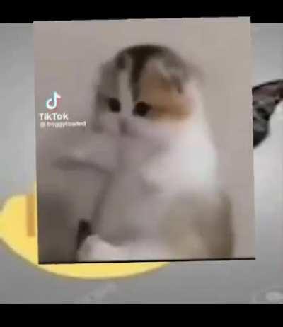 just got into editing