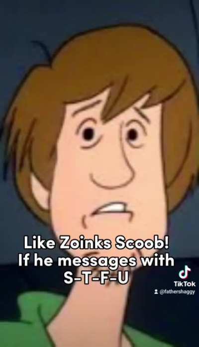 @fathershaggy on tiktok