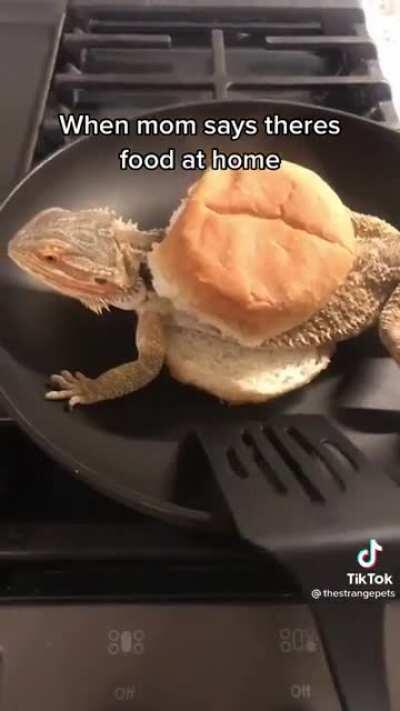 I thought this was funny and thought you guys might like it