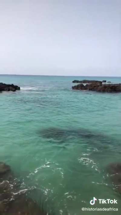 Se conocieron algunas imagenes de la isla de Annobon