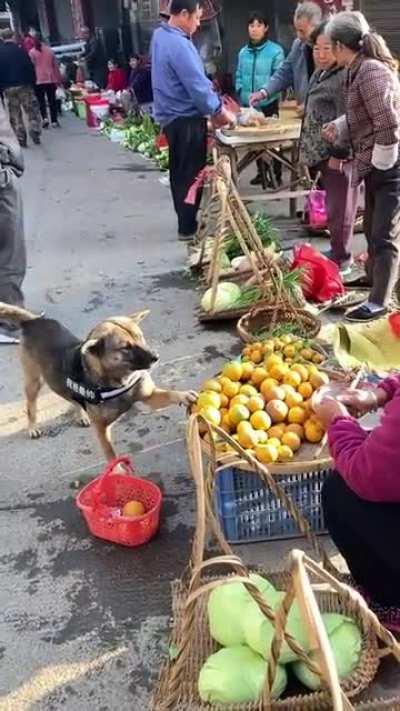 Этот тоже возьму!