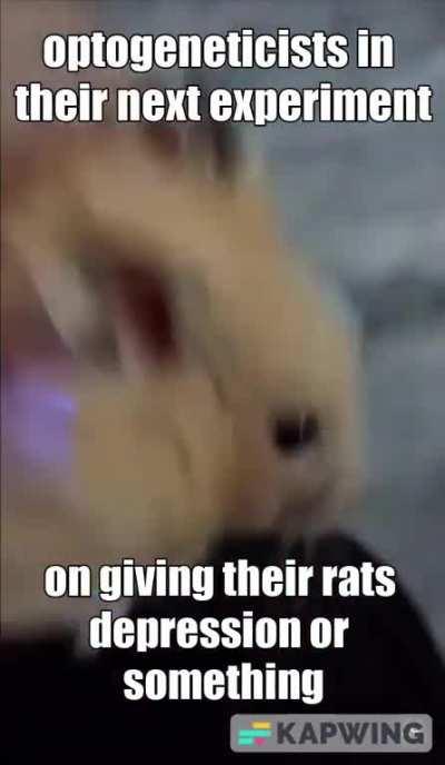 Boogie for your Sanity