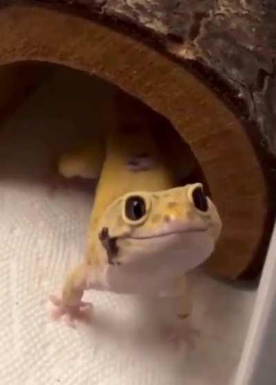 How could you not smile back?