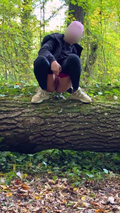 It was a first from a tree trunk