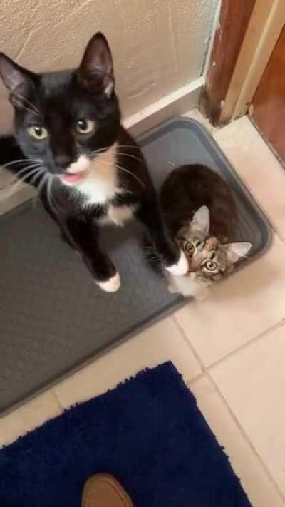 Are you guys hungry?!