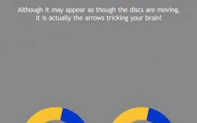 human brains are mystery