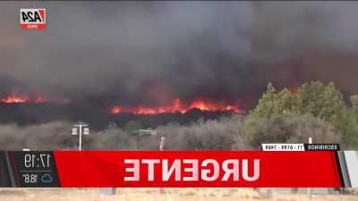 Hay 15 detenidos en Córdoba por causar los incendios forestales de manera intencional