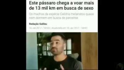 Igualzinho a aleatóriomente