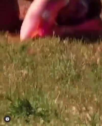 Why would you do this to yourself?