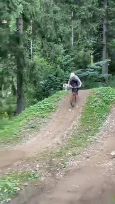 Mountain biking trails