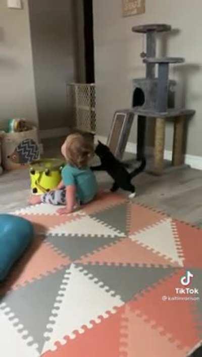 What is this thing?!