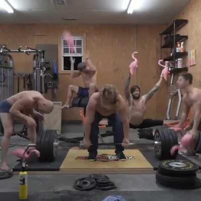 Barbecued Flamingo Anyone?