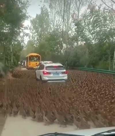 Fuck this car in particular