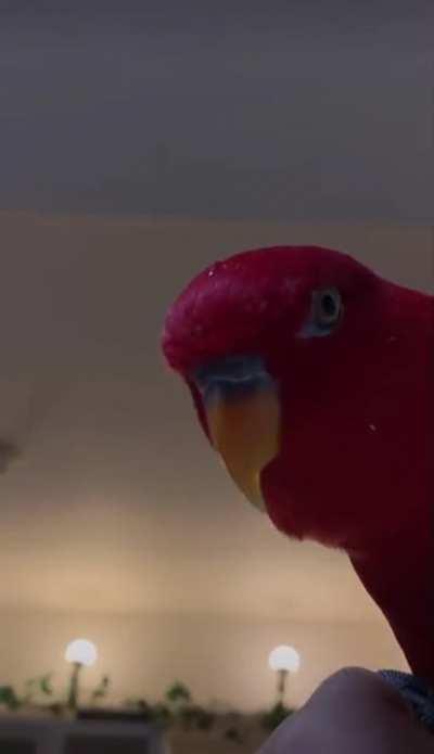 Rust players looking into your base after they’ve made their first satchel charges.