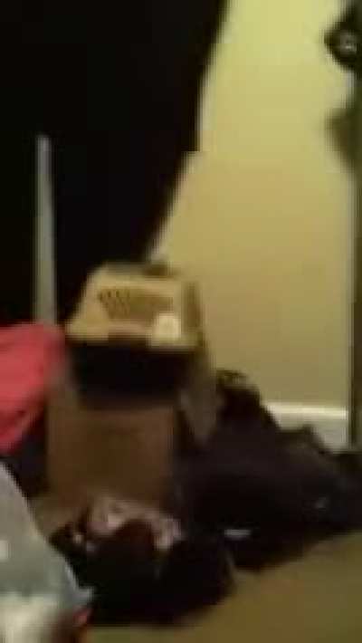 Making a mess of her panties