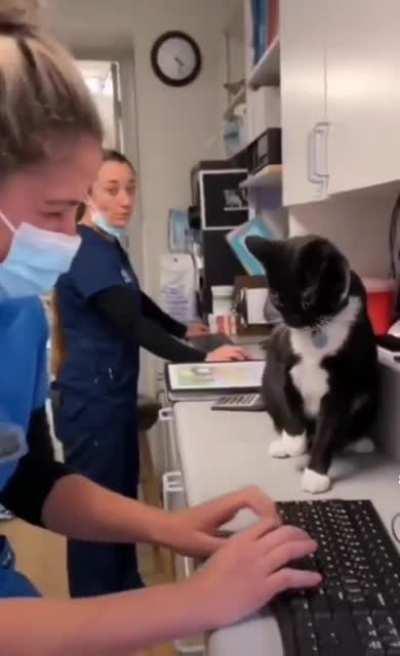 I said... no billing my human allowed