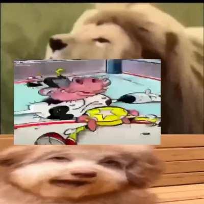 light skin lioans when they gert a lobotomy 🤦‍♂️😂