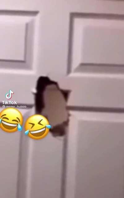 Random videos I found on my folder part 24