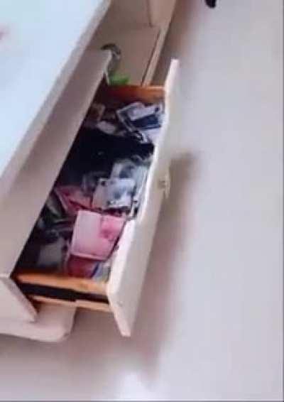 Crow helping his human getting richier