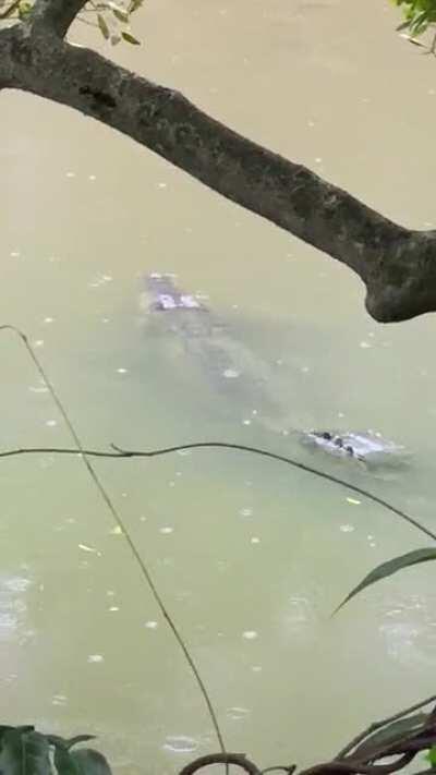 Big guy chilling the Sunday away