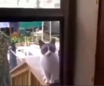 Bu kadar mucize var iken, hala inanmadiniz mi ?