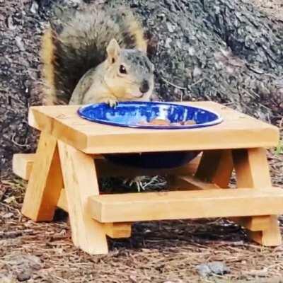 I brought my squirrel picnic table to the park today, and watched this little guy stuff himself with almonds.