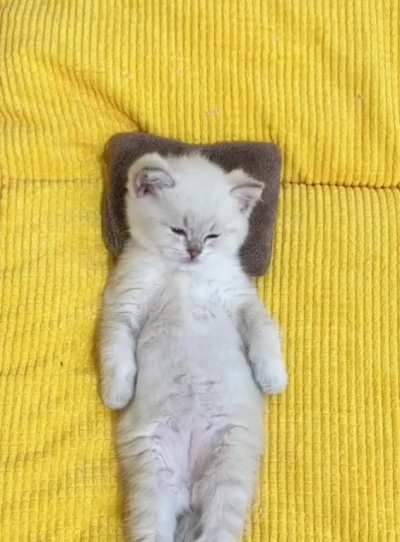 It's Sunday... I'm feeling too lazy today