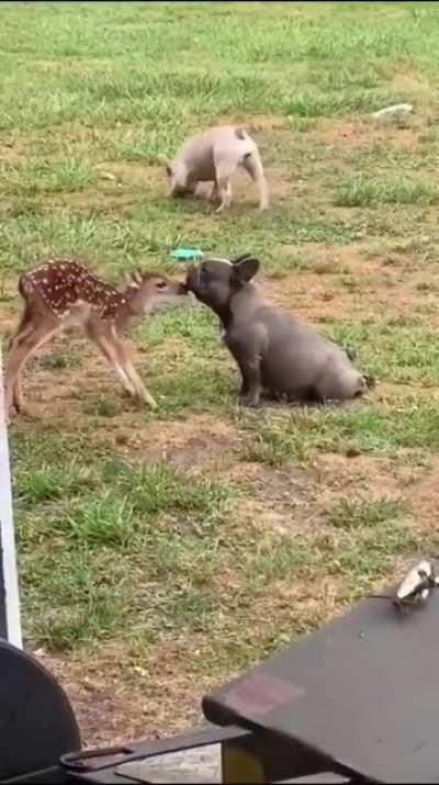 That is so darn cute....!