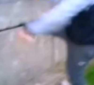 Full version of that one thing