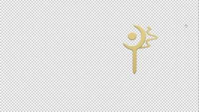 Wait... Is this what its supposed to be ?